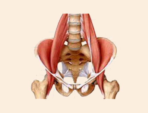The Psoas Muscle – The ‘Hidden Prankster’