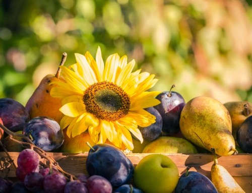 Transitioning to Autumn in Traditional Chinese Medicine