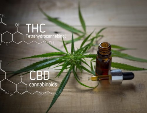 CBD Oil: Feel Good Plant Medicine